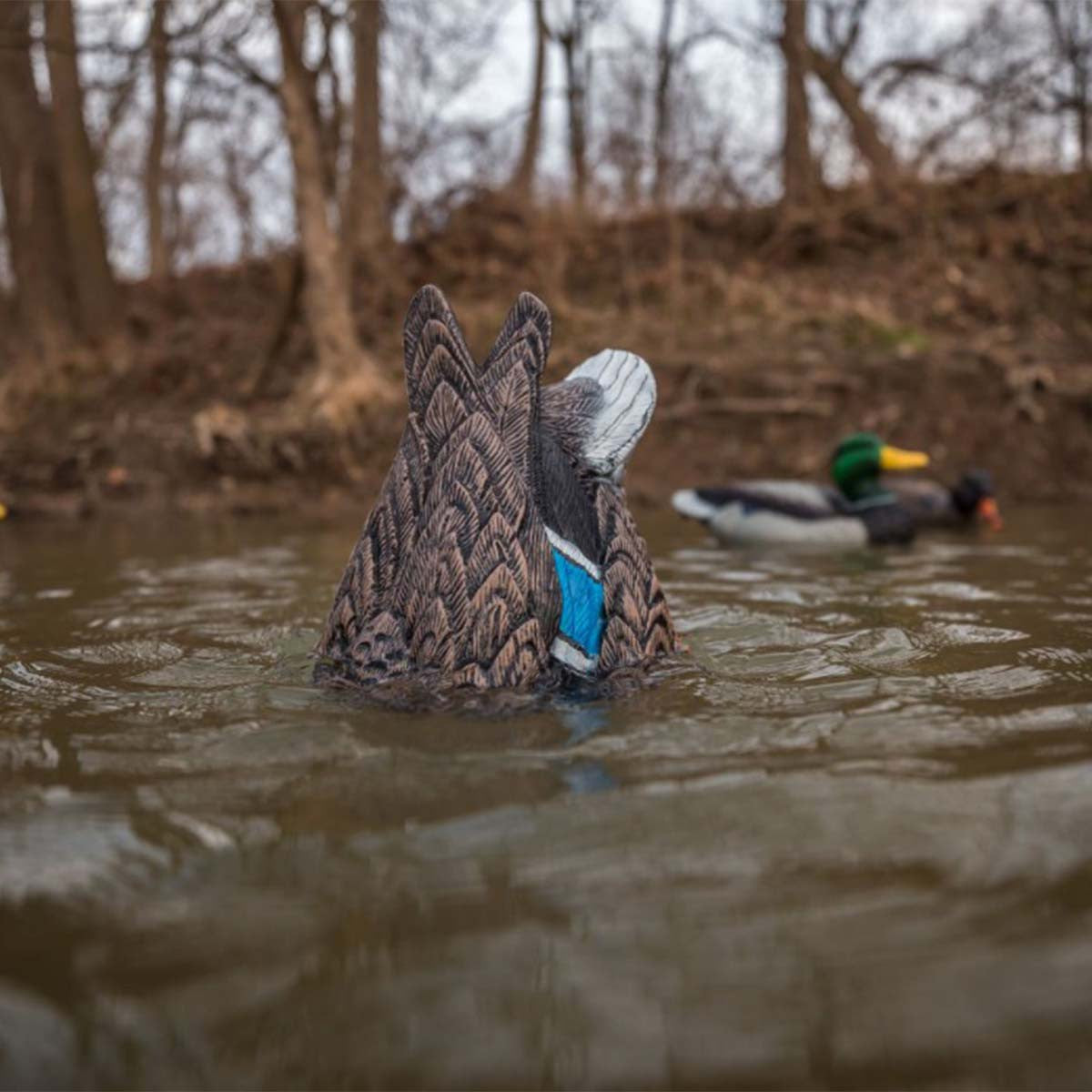 Quiver Hen Duck Butt HD Decoy