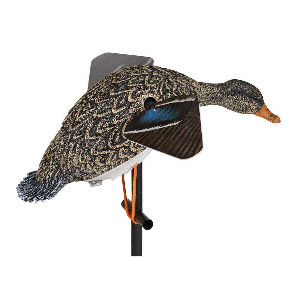 Lucky Duck Lucky HD Hen Spinning Wing Decoy Side Image