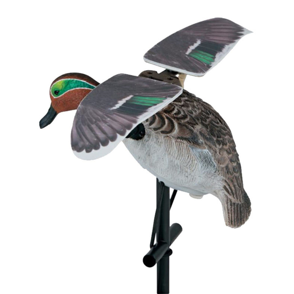 Lucky Flapper Teal HD Decoy