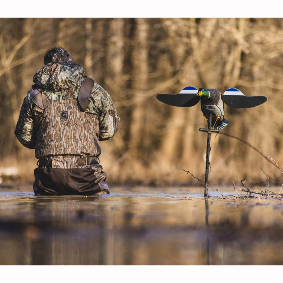 Lucky Duck Lucky Junior II 6V Spinning Wing Decoy In-the-Field Image
