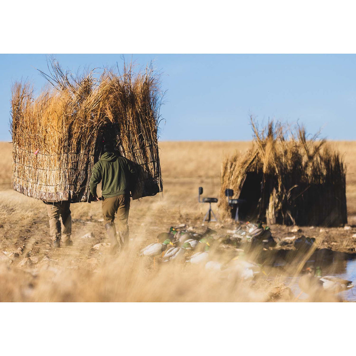 Lucky Duck 4 Man Blind Field Image