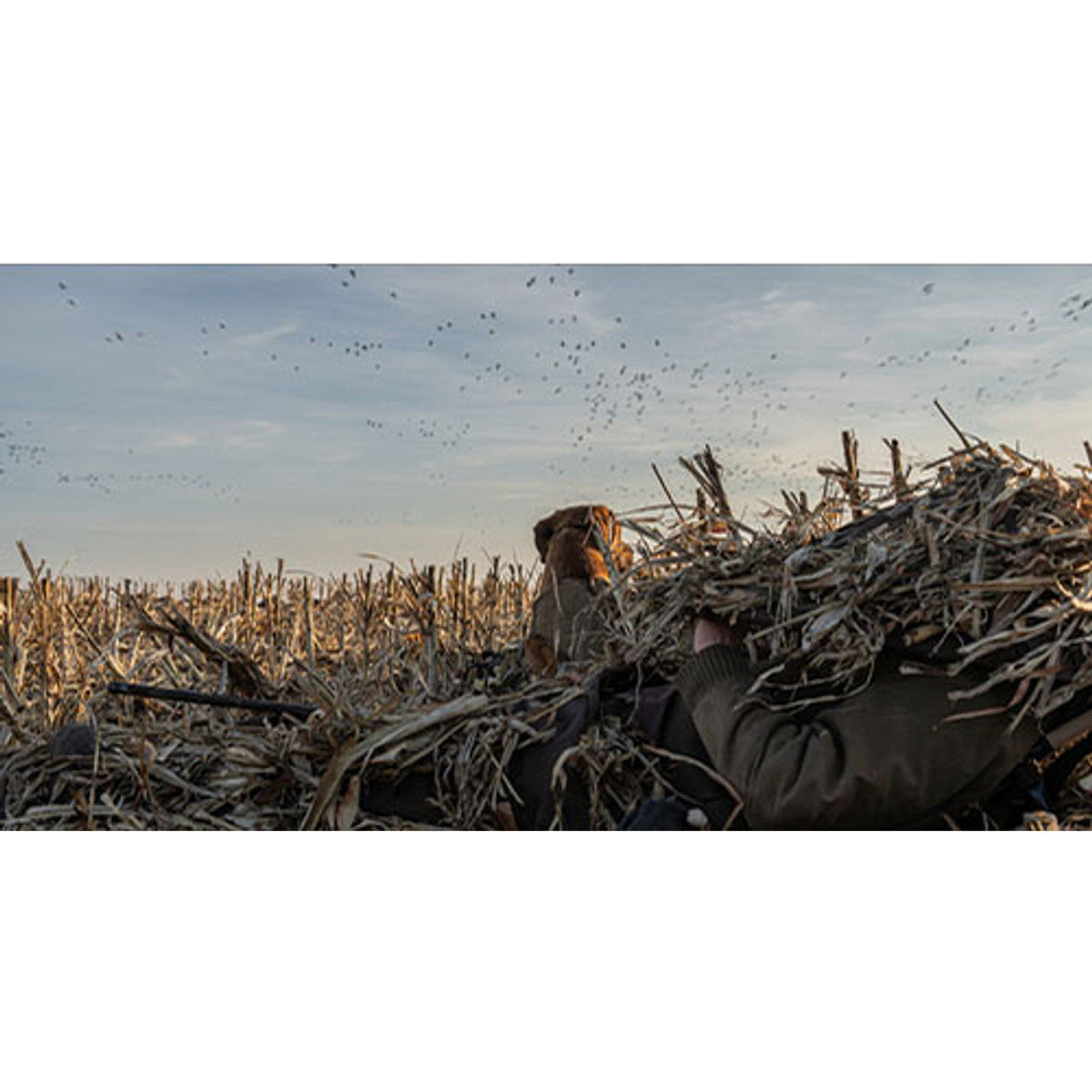 Lucky Duck Goose Chair Layout Hunting Blind Image
