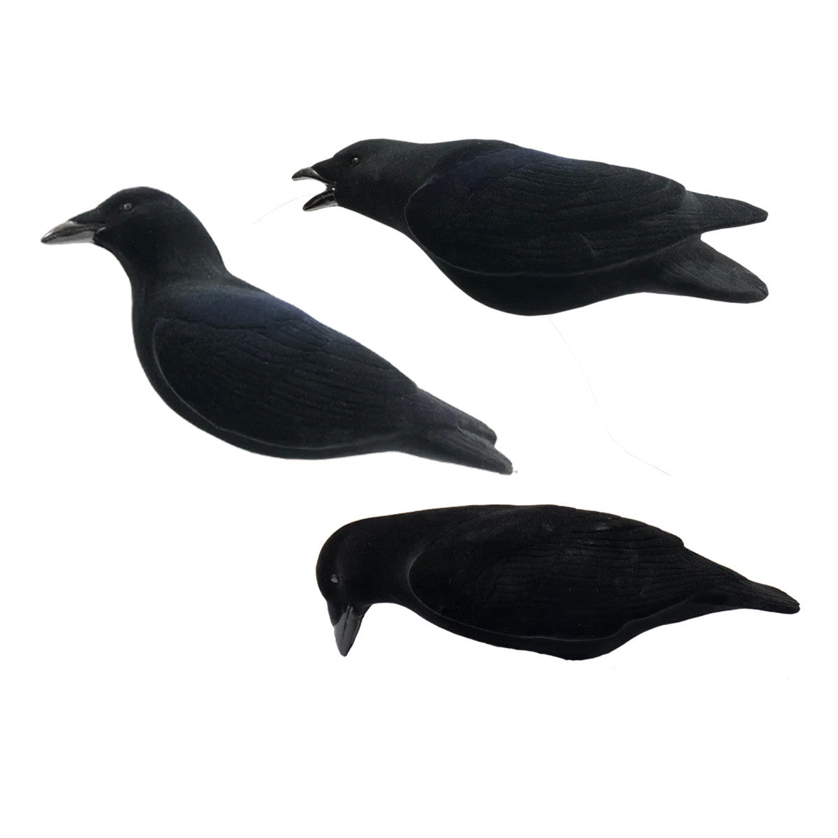 Image of the Final Approach Fully Flocked Crows Decoys.