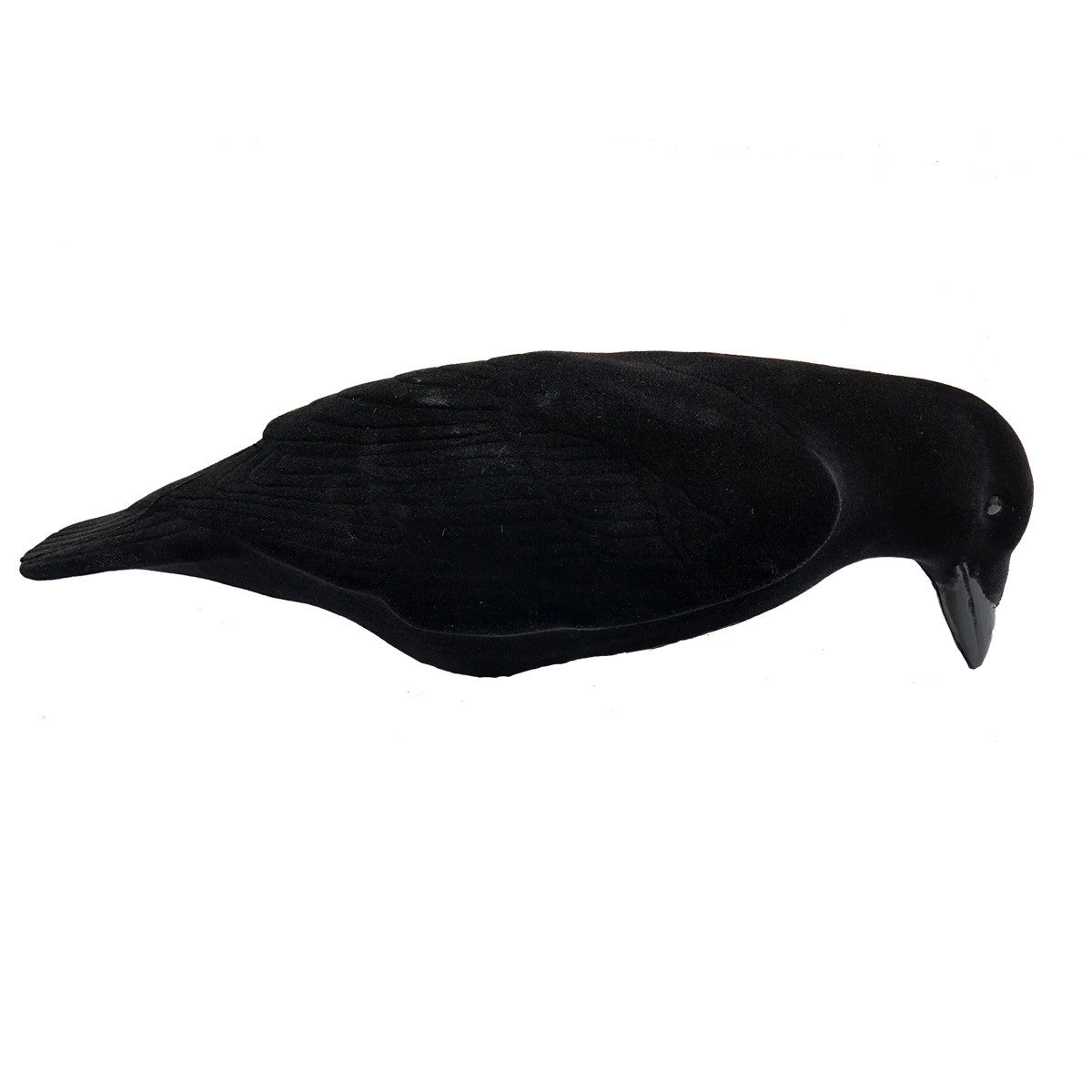 Single Image of the Final Approach Fully Flocked Crows Decoys.