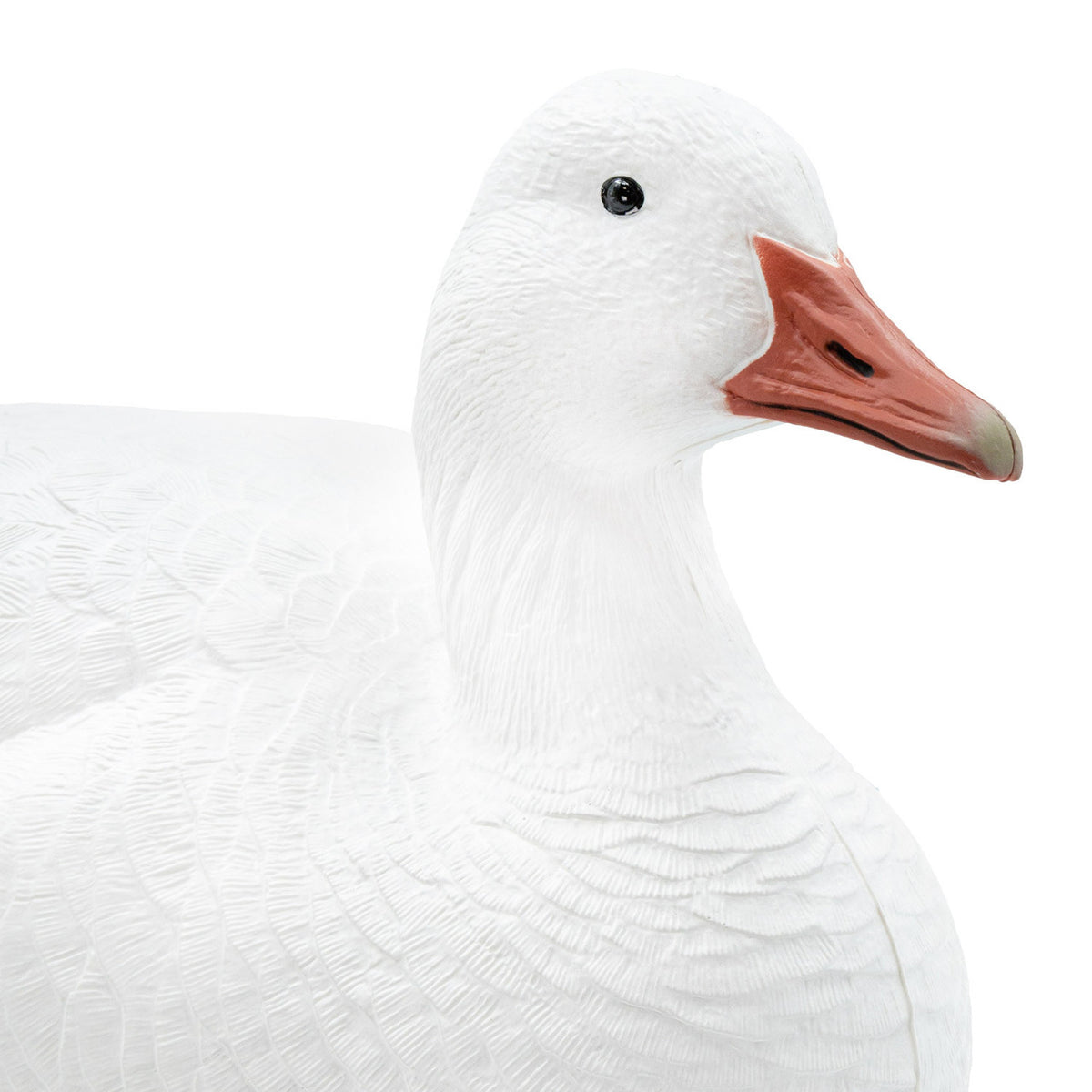 Final Approach Last Pass Floating Snow Goose Decoy close up face image