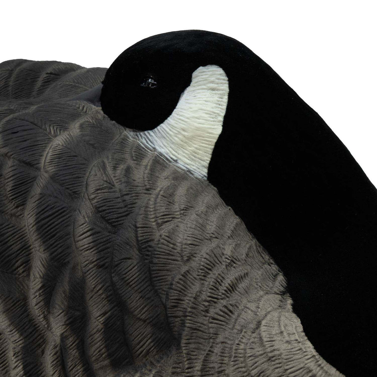 Final Approach Last Pass Honker Sleeper Shell close up face image
