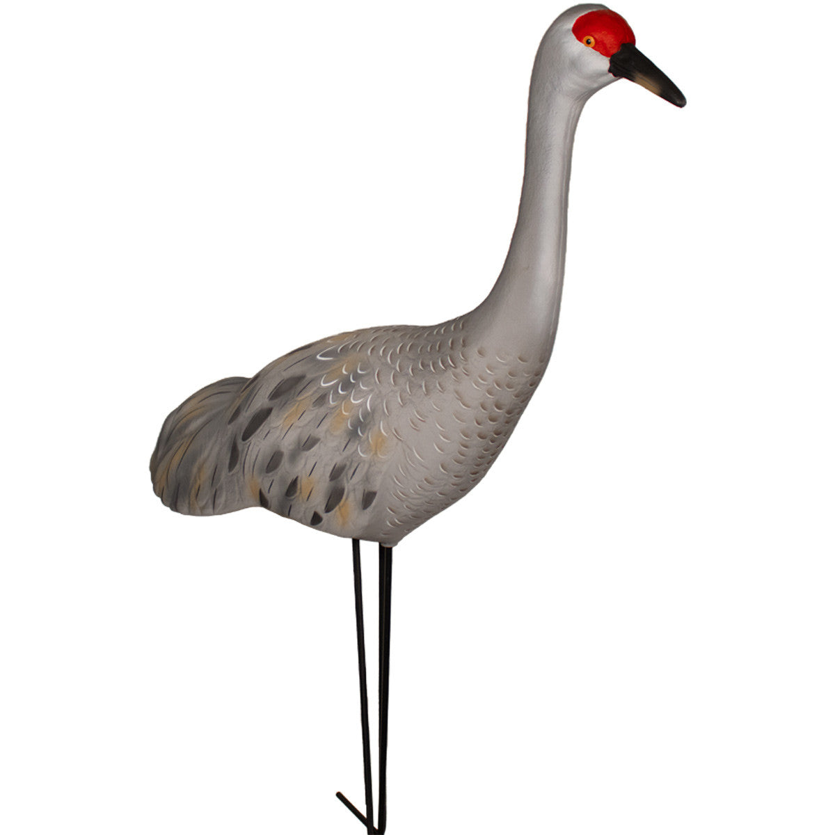 LIVE Full Body Sandhill Crane Upright Decoys, 2 Pack