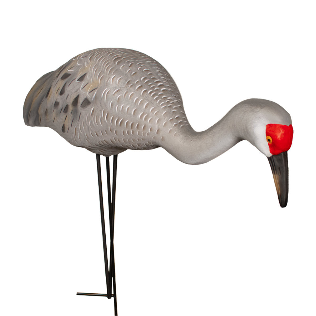 Final Approach Live Full Body Sandhill Crane Feeder Decoy Front Angled Image