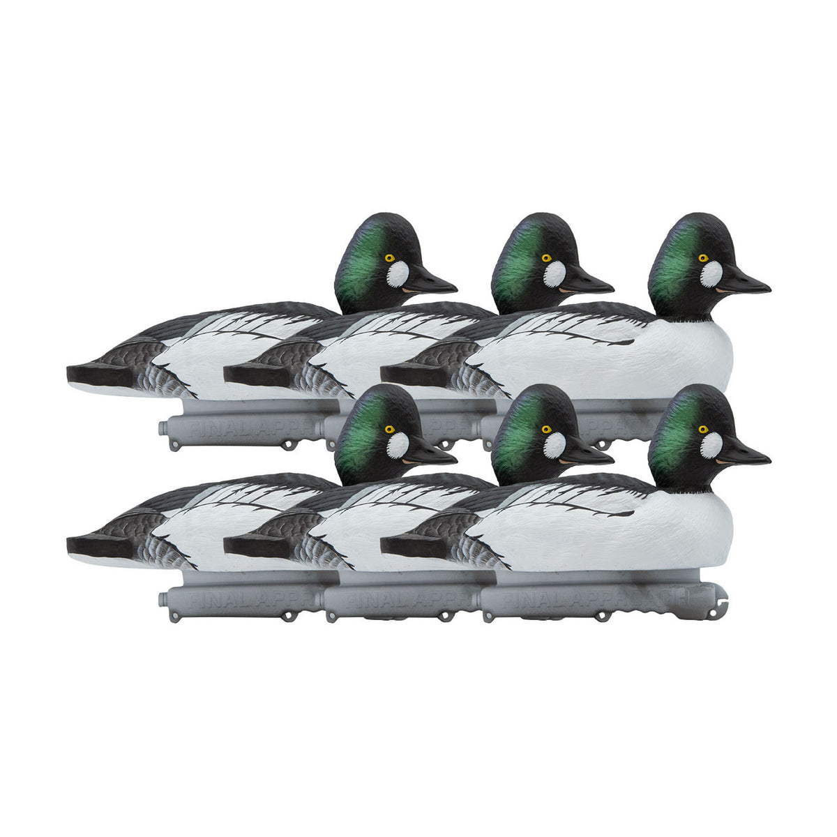 Live Common Goldeneye Floating Duck Decoys, 6 Pack