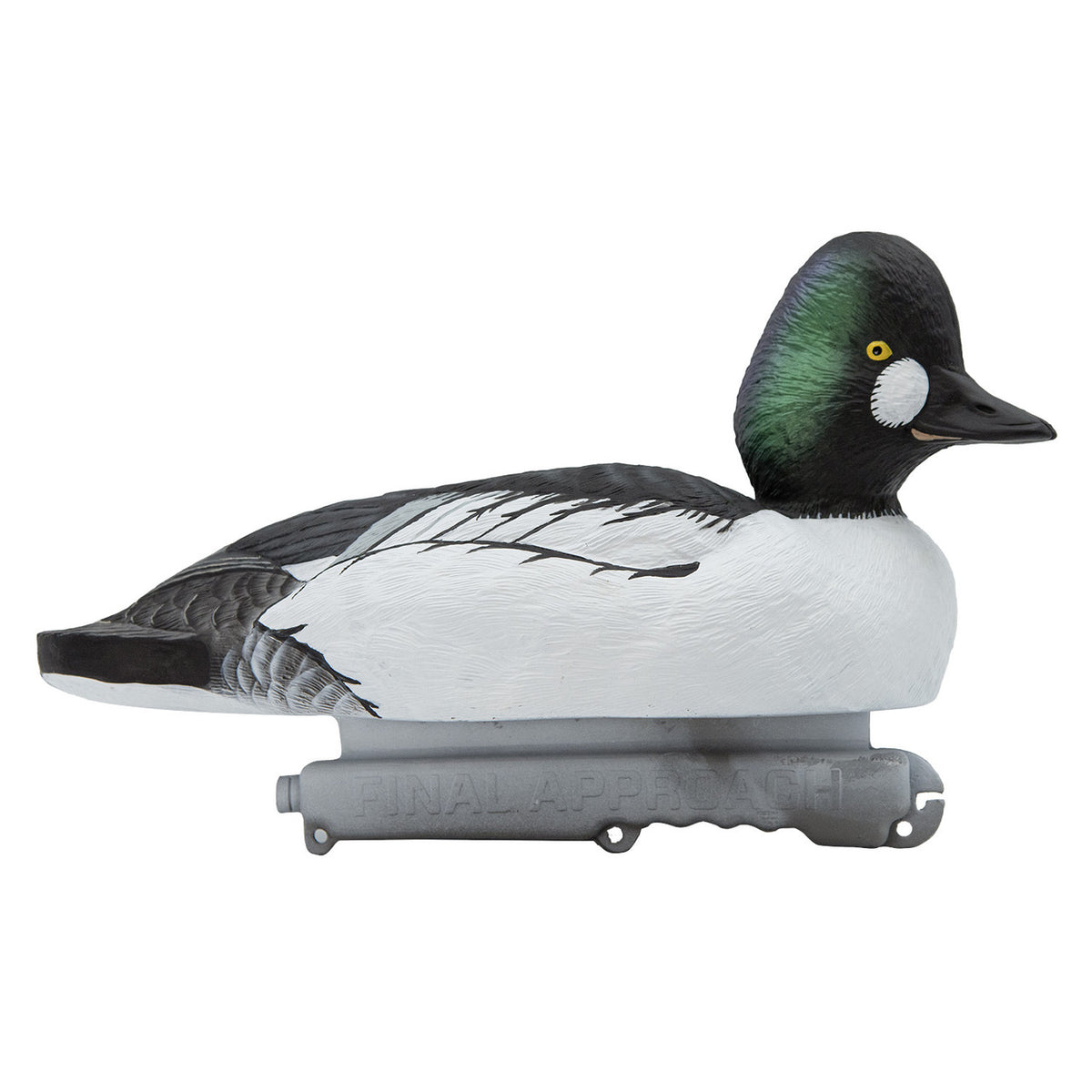 Live Common Goldeneye Floating Duck Decoys, 6 Pack