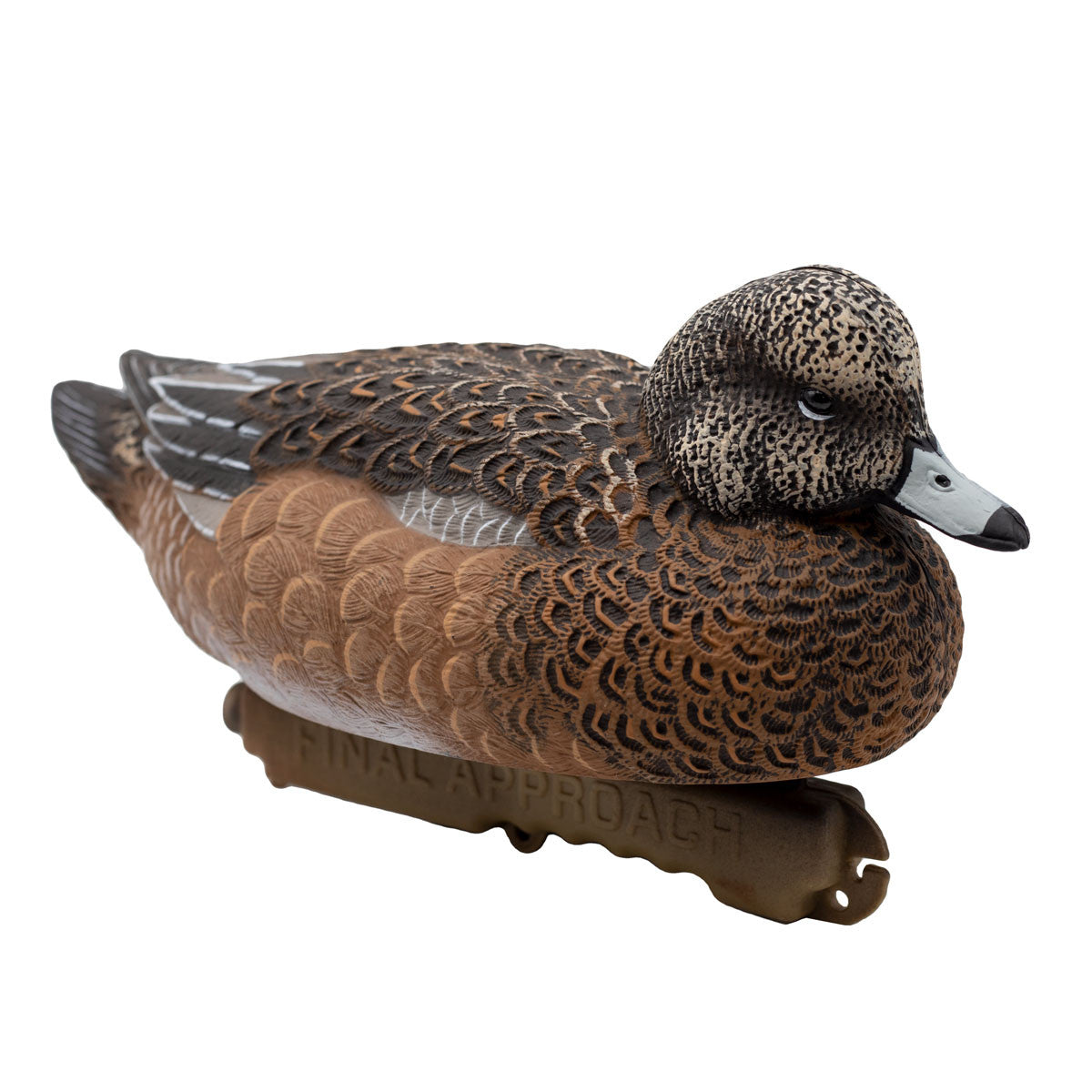 Final Approach HD Floating Wigeon Image
