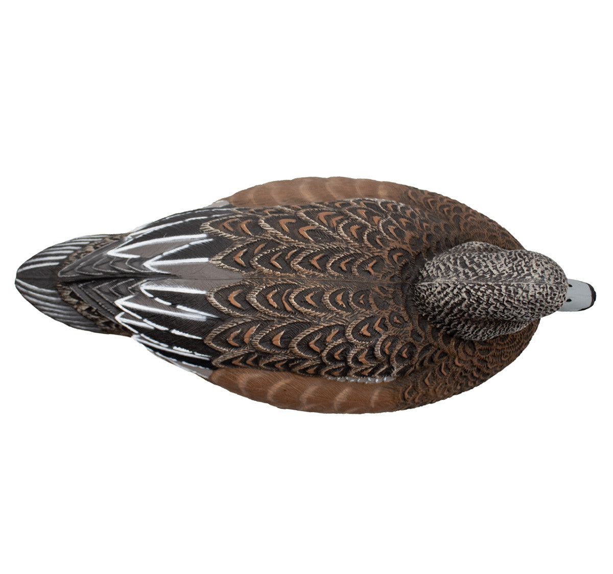 Final Approach HD Floating Wigeon Image