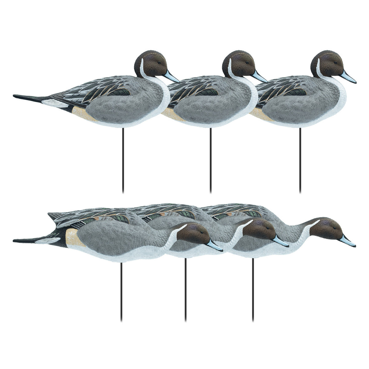 Final Approach HD Full Body Pintail Decoys Image