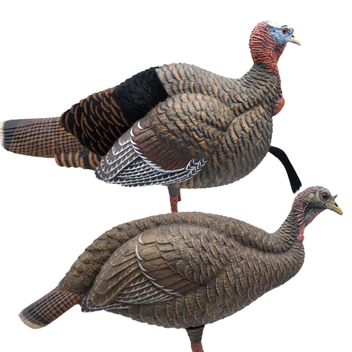 Final Approach Live Flocked Back Jake and Breeder Hen Decoy Bundle Image