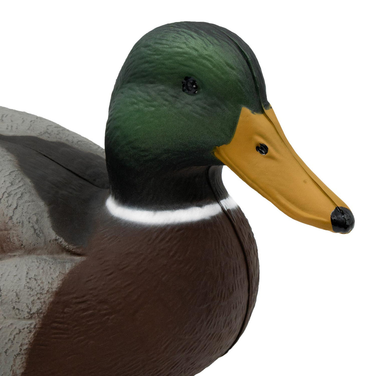 Last Pass Foam-Filled Floating Mallards, 12 Pack