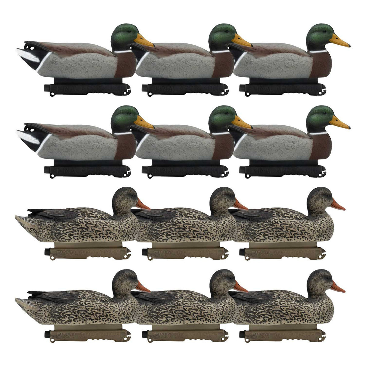 Image of  the 12 pack of Final Approach Last Pass Foam Filled Mallards.