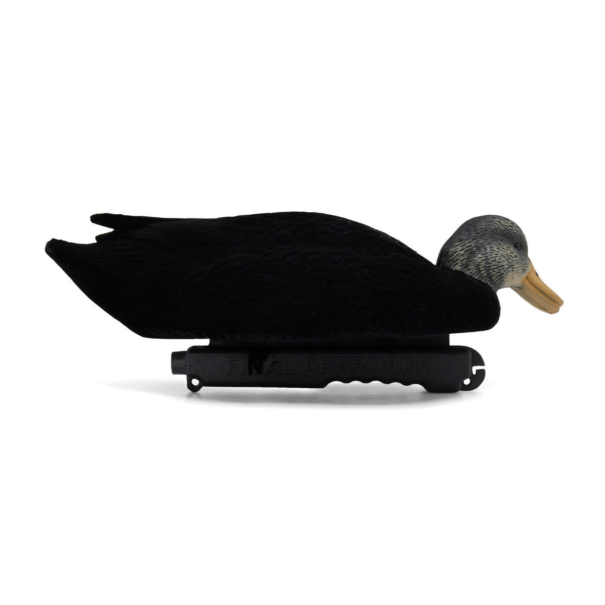 Final Approach Live Flocked Black Duck Decoy head down again image