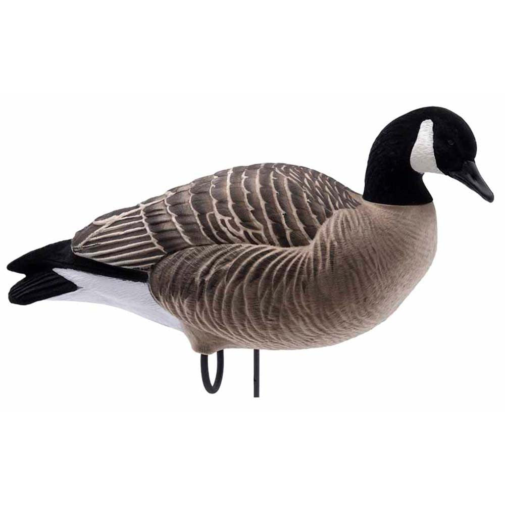 HD Fully Flocked Canada Lessers - 6 Pack