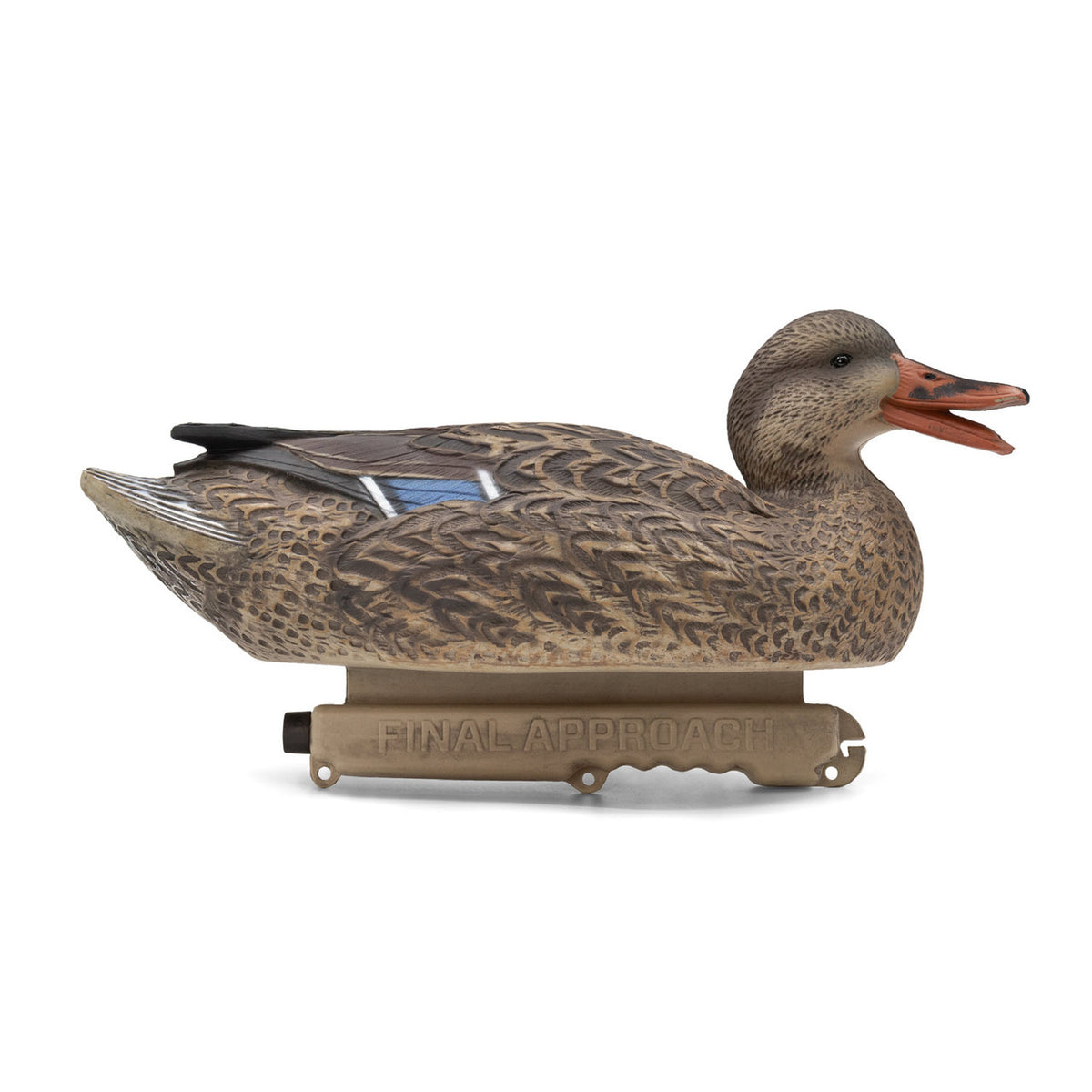 Live Mallard EVA Floaters hen head up image
