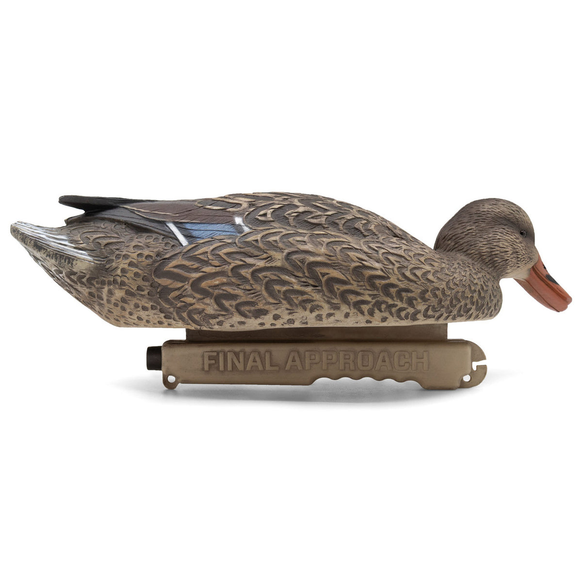 Live Mallard EVA Floaters hen down head image