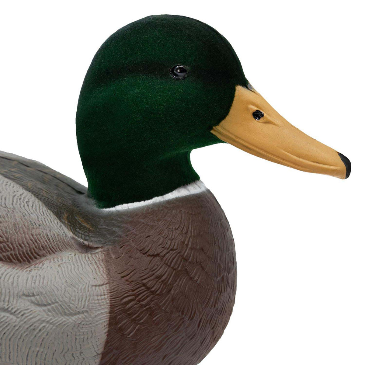 Live Mallard EVA Floaters close up drake image