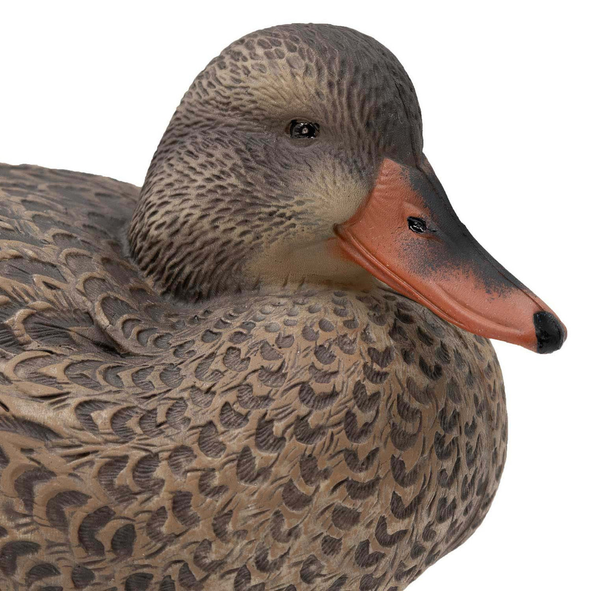 Live Mallard EVA Floaters close up hen head tucked image