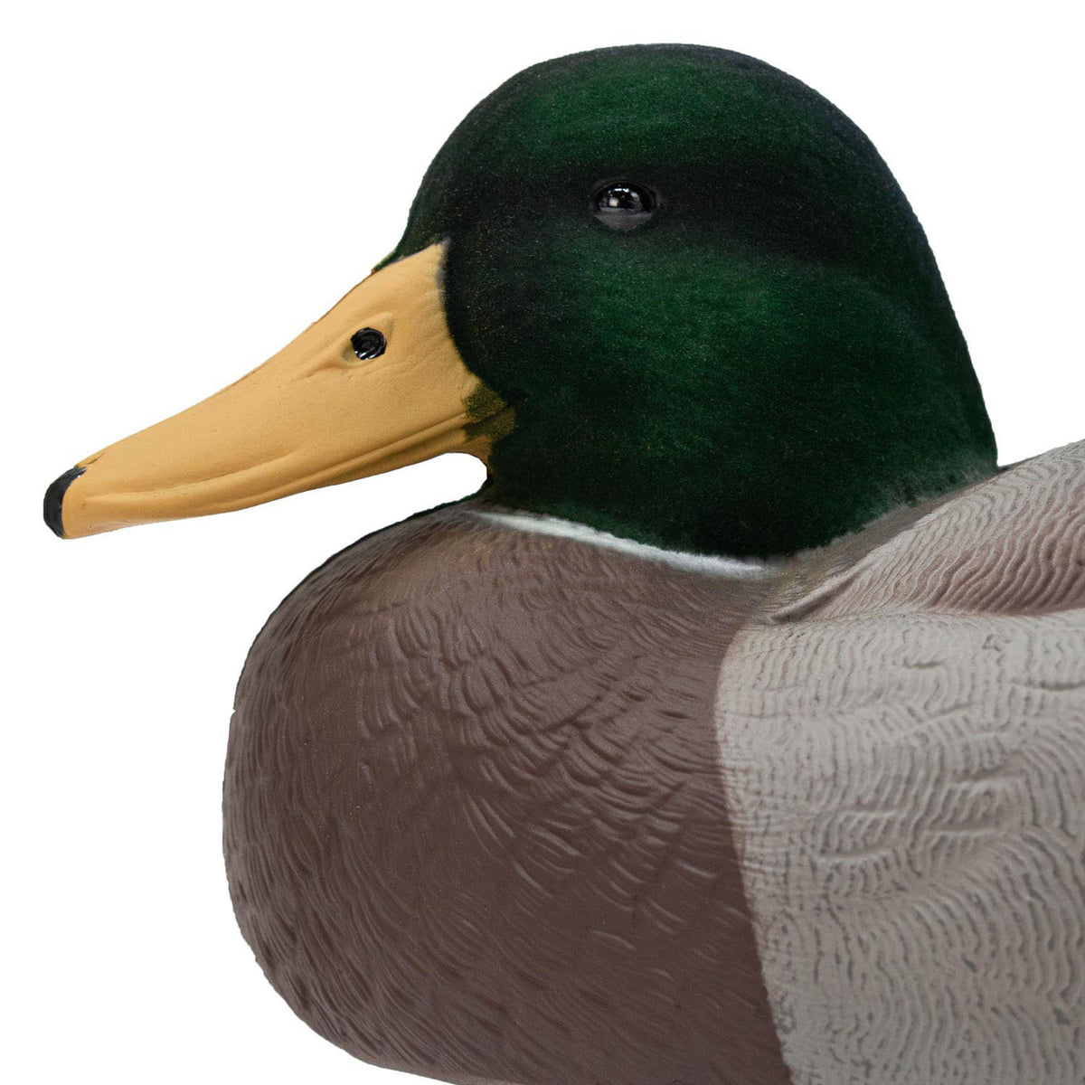 Live Mallard EVA Floaters close up drake head tucked image