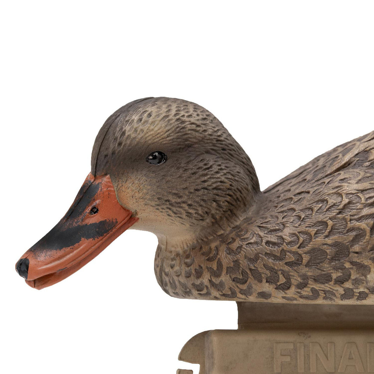 Live Mallard EVA Floaters close up hen head down image
