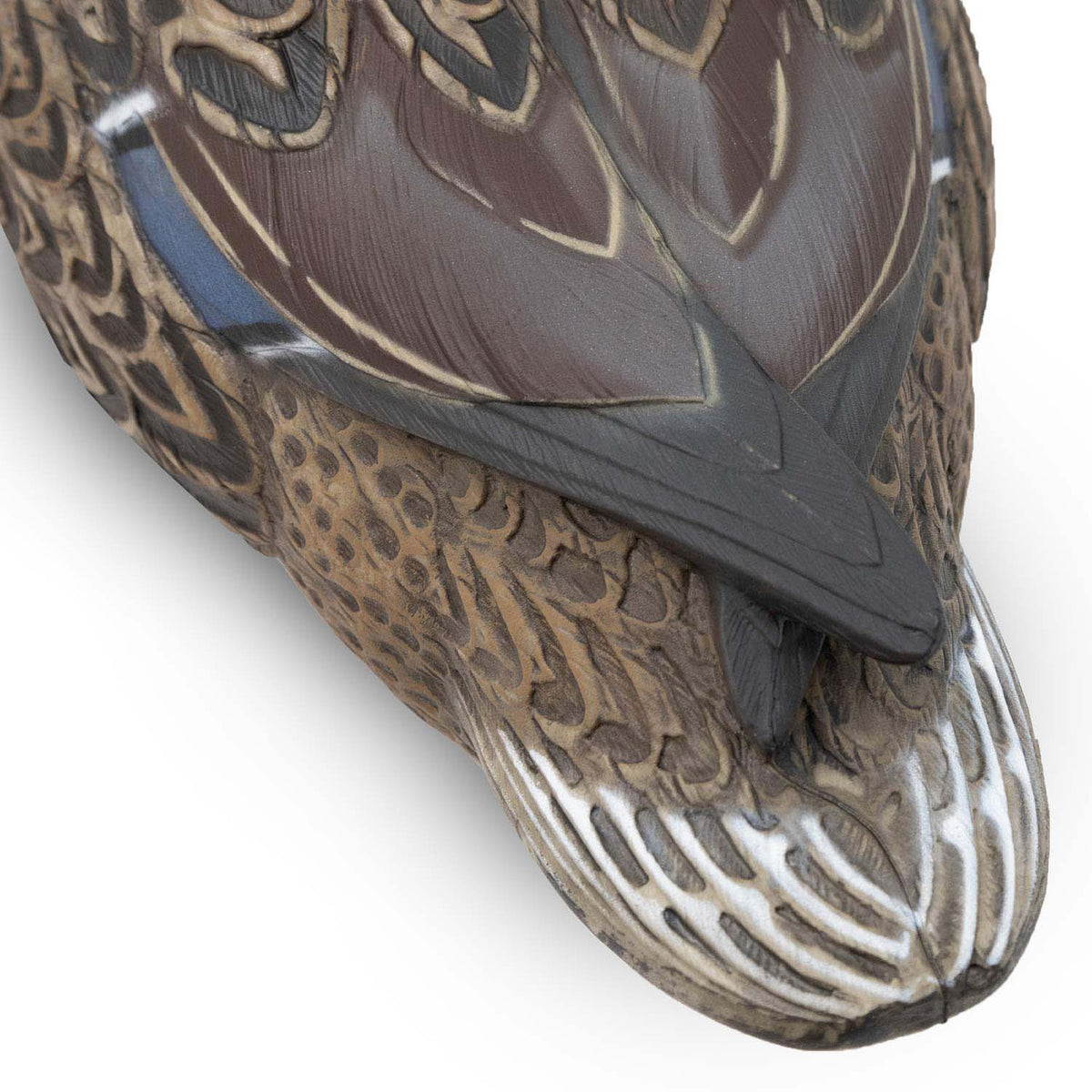 Live Mallard EVA Floaters hen tail image
