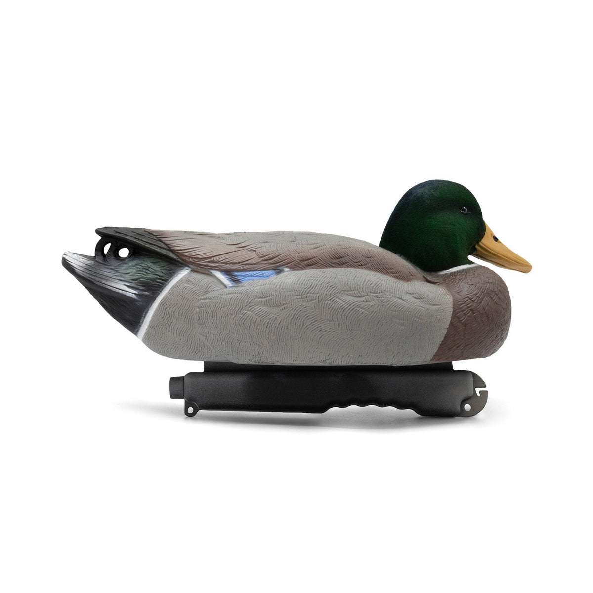 Live Mallard EVA Floaters tucked head image