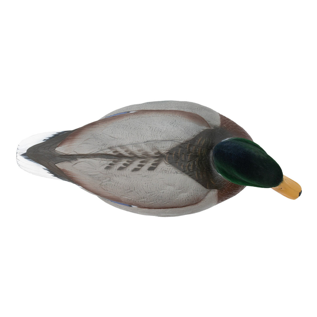 Live Mallard EVA Floaters drake above image