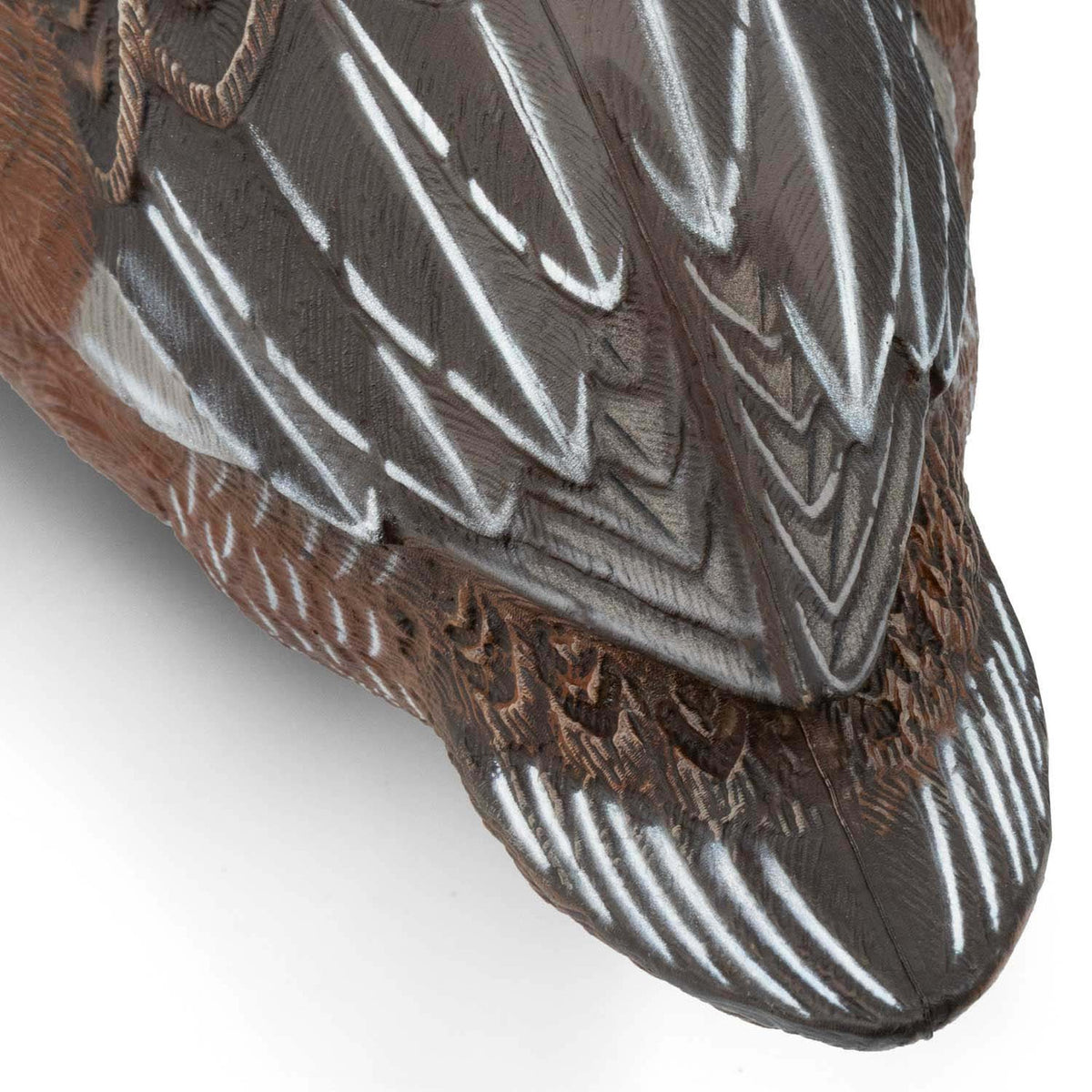 Final Approach Live Wigeon Floater Duck Decoy hen close up tail feather image