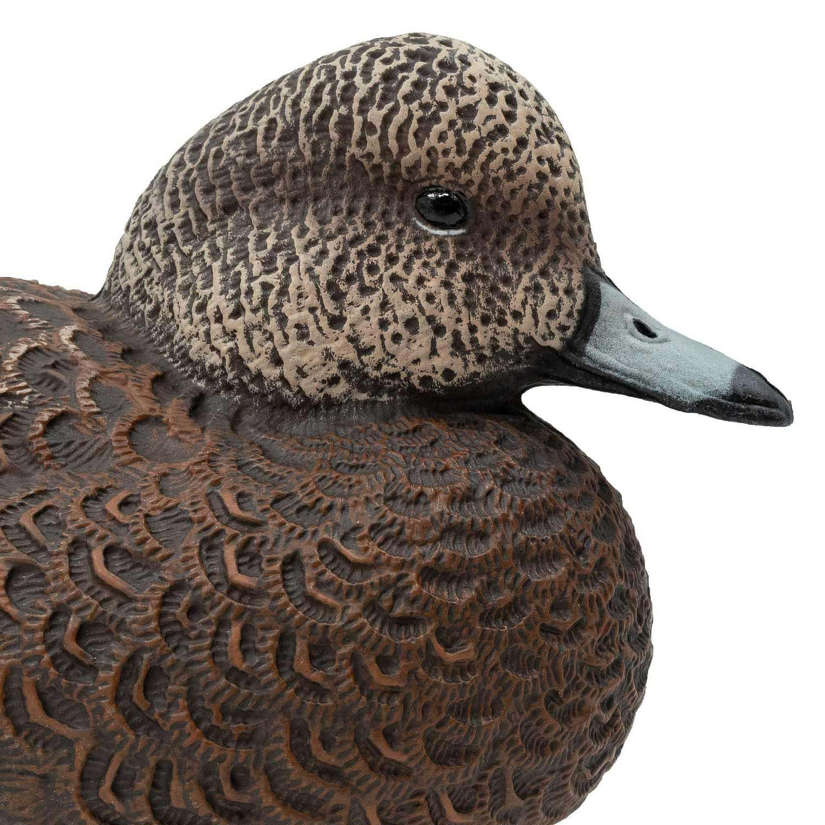 Final Approach Live Wigeon Floater Duck Decoy close up head hen image