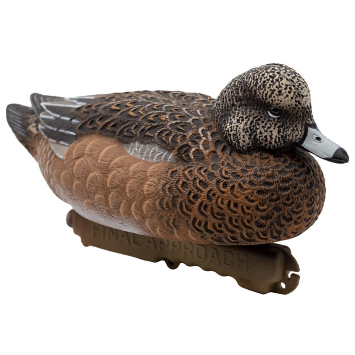 Final Approach Live Eurasian Wigeon Decoys Resting Hen Angled Image