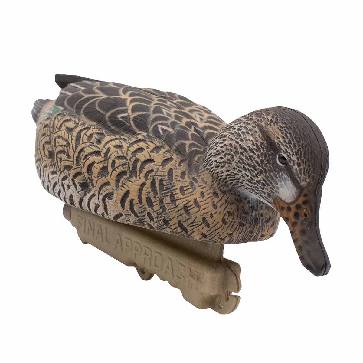 Final Approach HD Cinnamon Teal Floaters Decoys Feeding Hen Front Angled Image