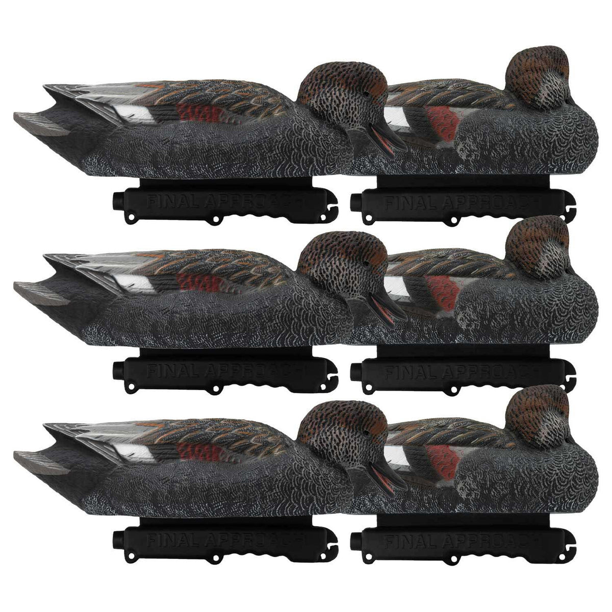 Final Approach Live Gadwall Floater Duck Decoys 6 Pack image