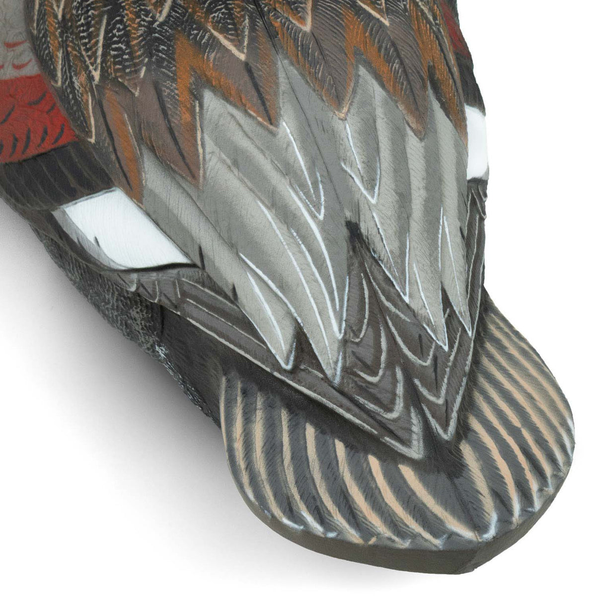 Final Approach Live Gadwall Floater Duck Decoy tail feathers close up image