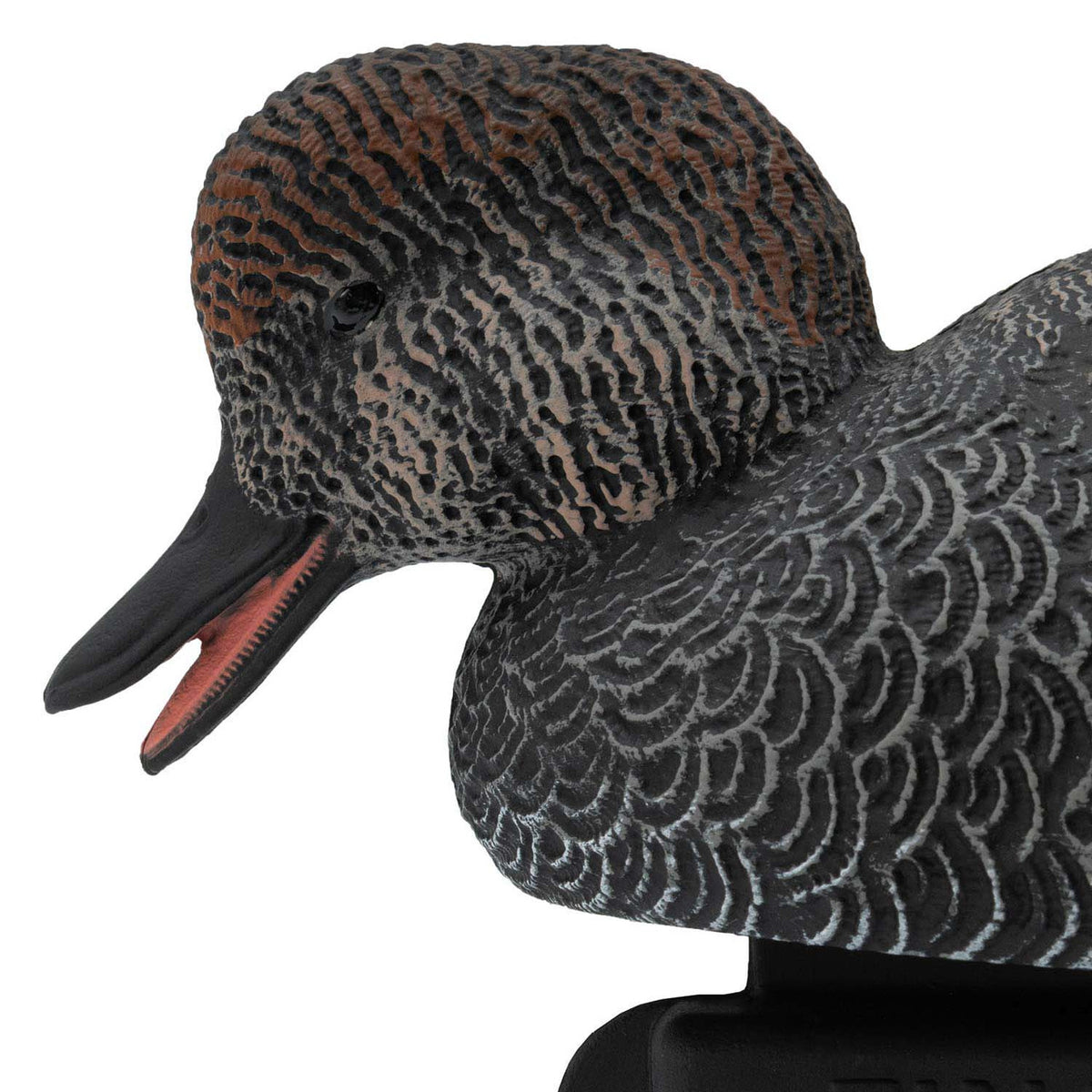 Final Approach Live Gadwall Floater Duck Decoy close up head down image