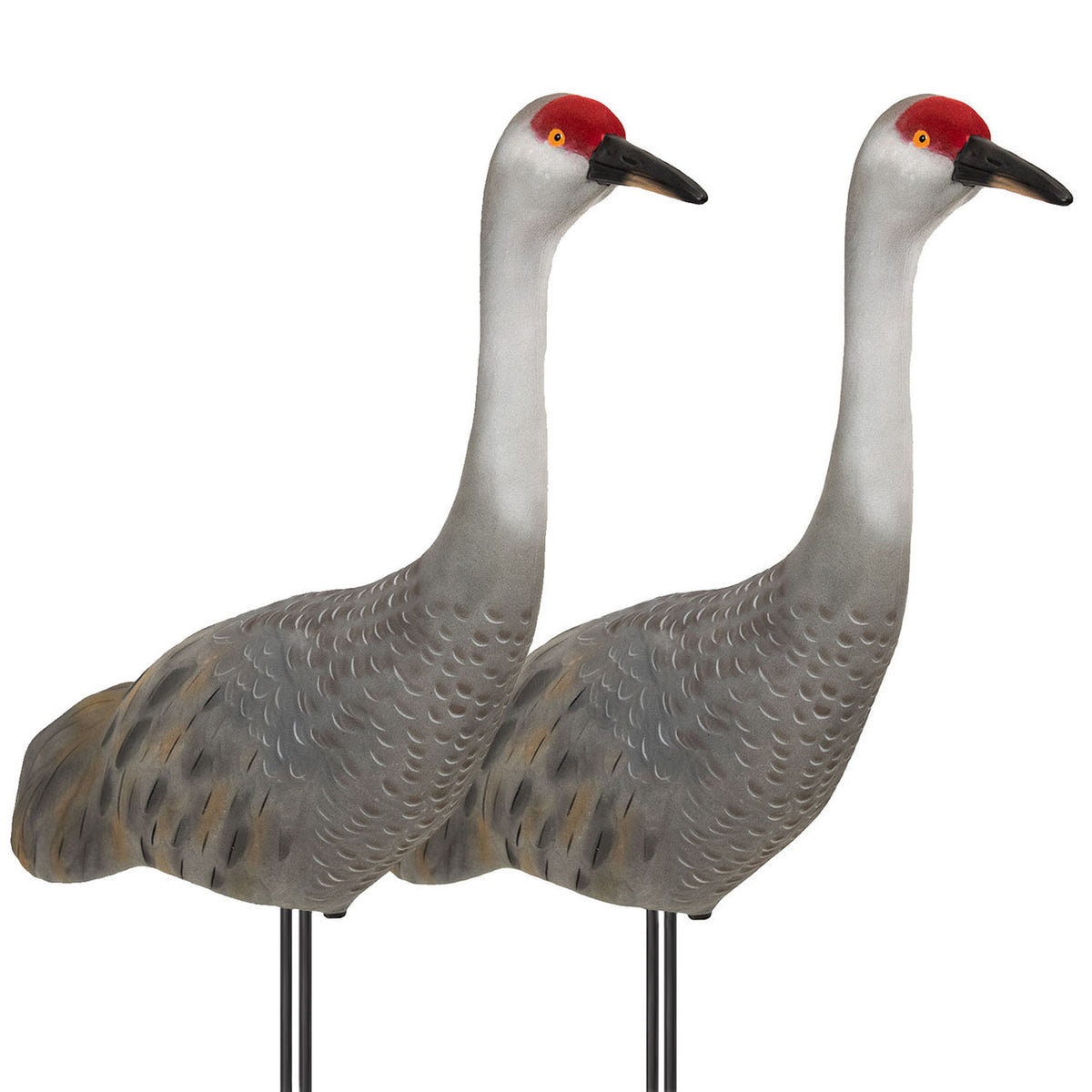 Final Approach Live Sandhill Crane Decoys Upright 2 Pack Image