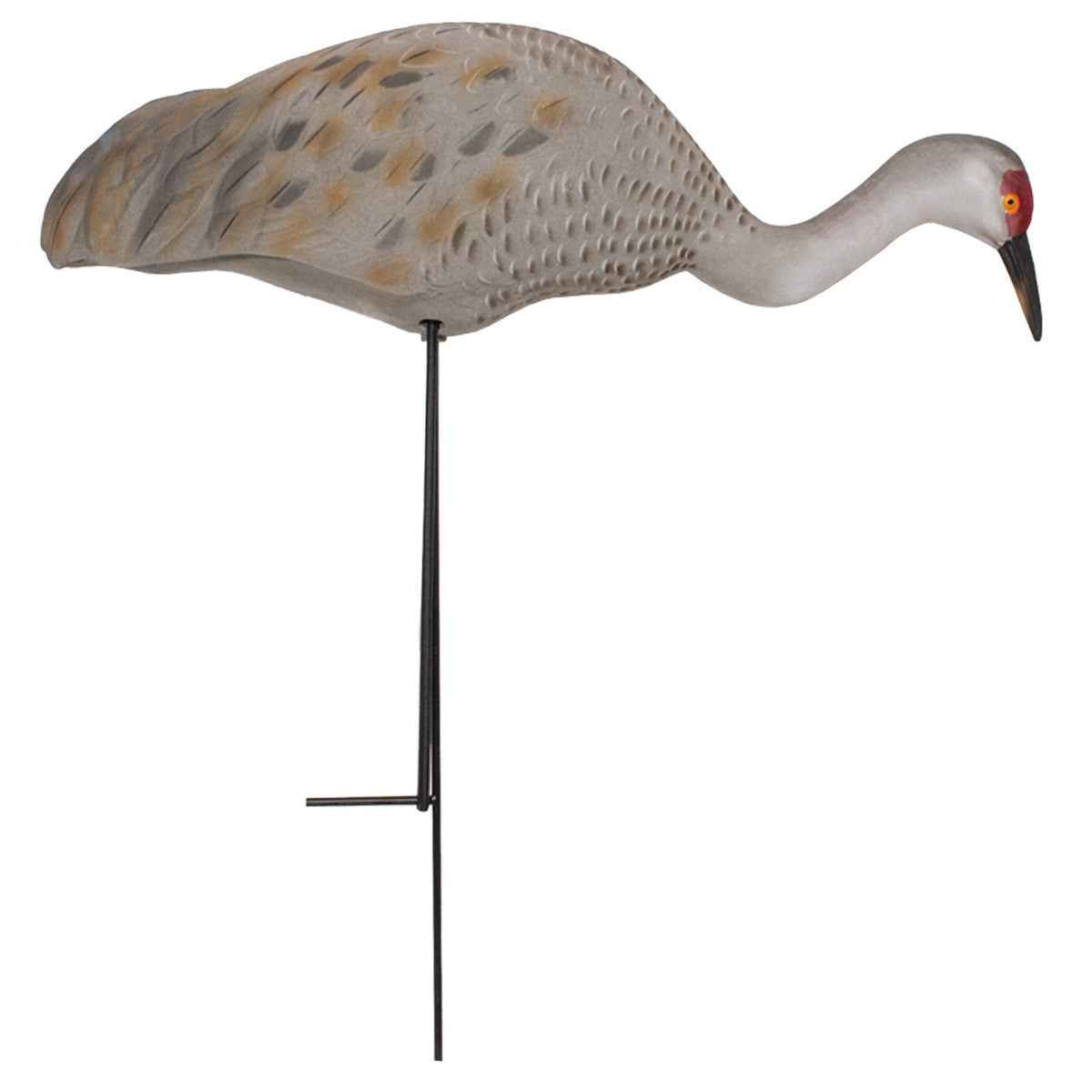 Final Approach LIVE Sandhill Crane Fully Flocked Feeder Decoy Image