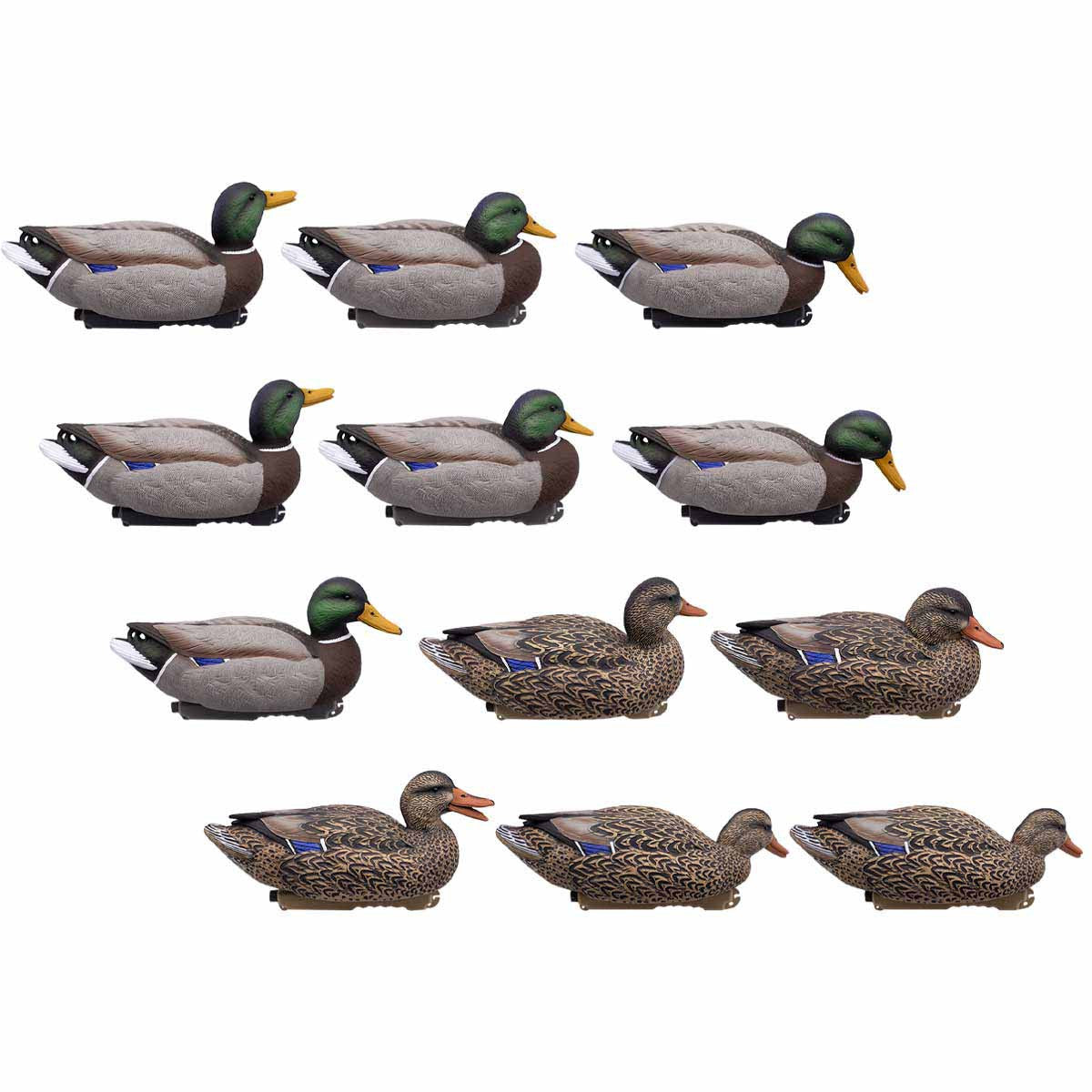 LIVE Floating Mallards - 12 Pack