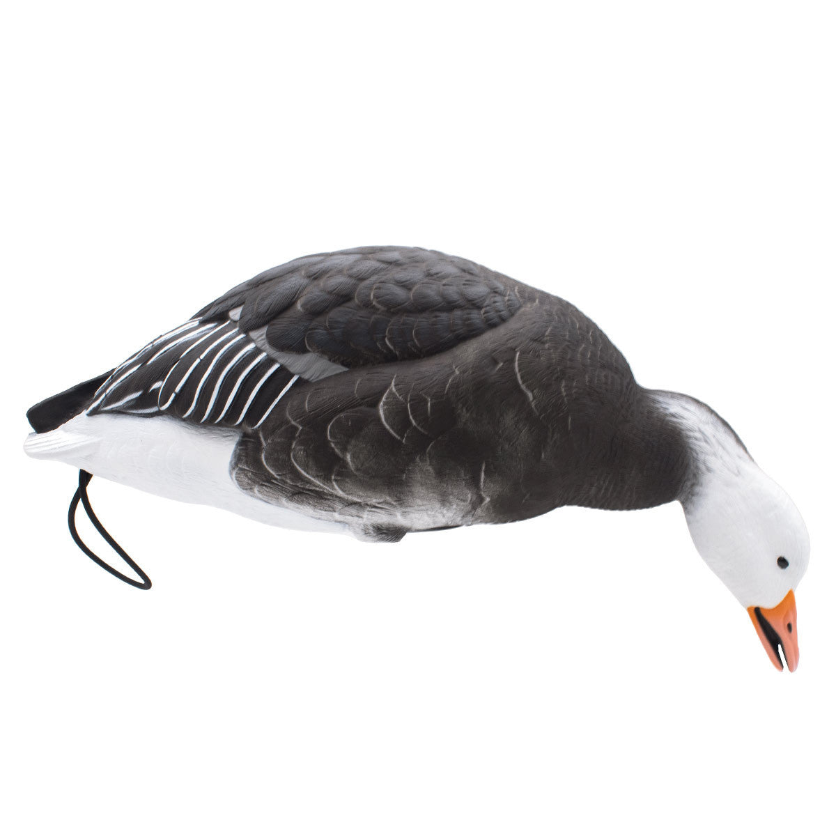 LIVE Full Body Blues Decoys, 6 Pack