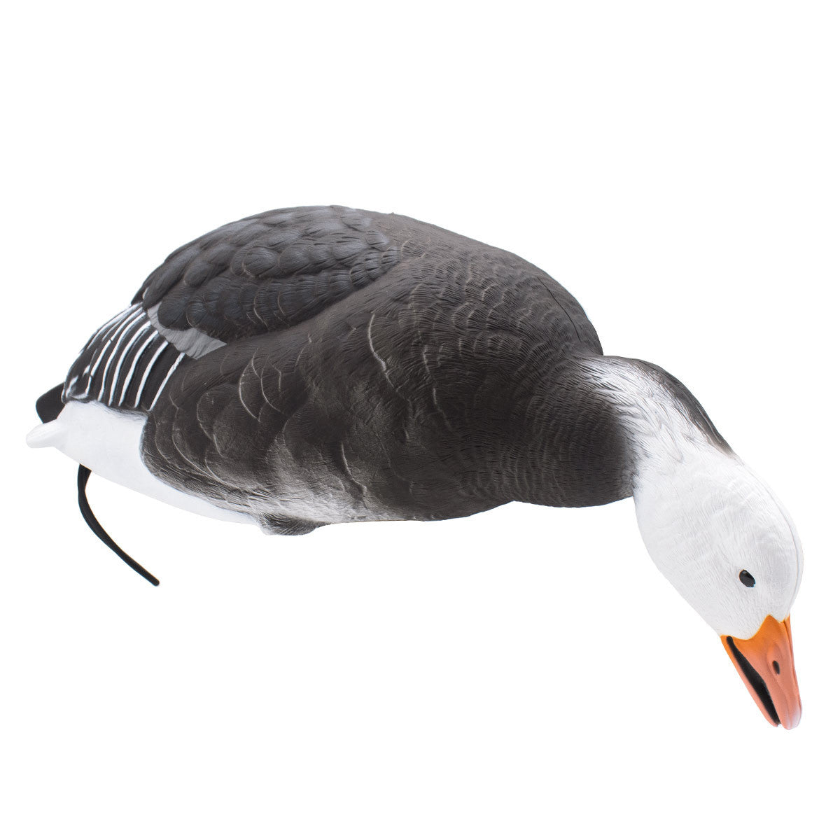 LIVE Full Body Blues Decoys, 6 Pack