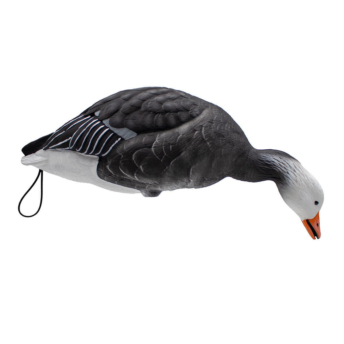 LIVE Full Body Blues Decoys, 6 Pack