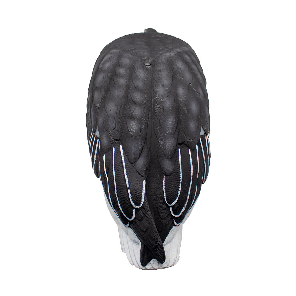 LIVE Full Body Blues Decoys, 6 Pack
