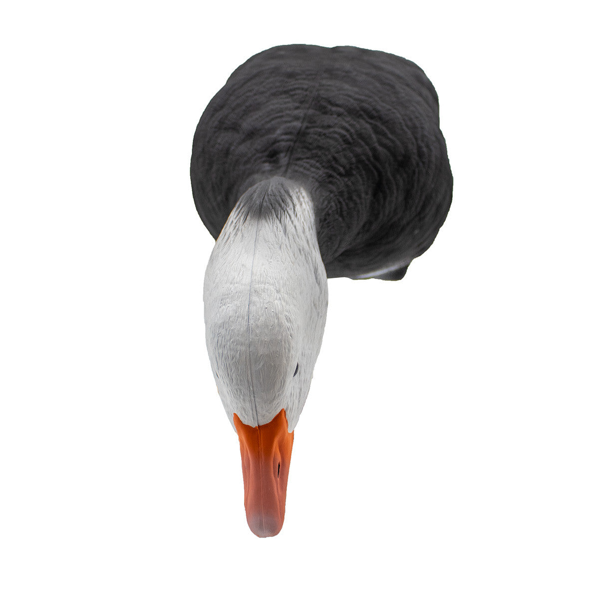 LIVE Full Body Blues Decoys, 6 Pack
