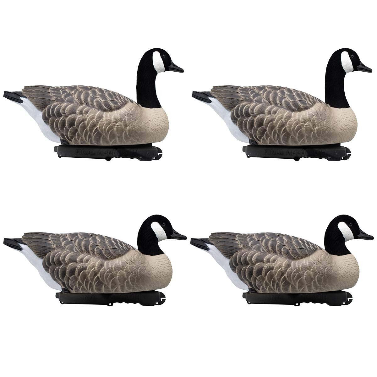 LIVE Honker Active Floaters, 4 Pack Image