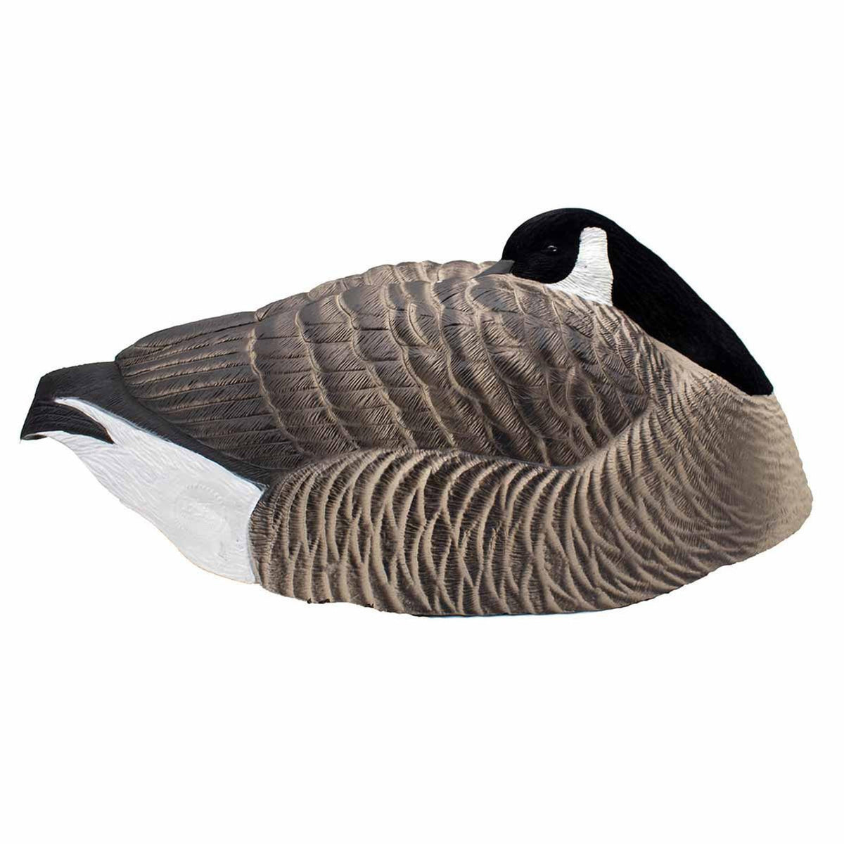 Image of an Individual Sleeper Shell