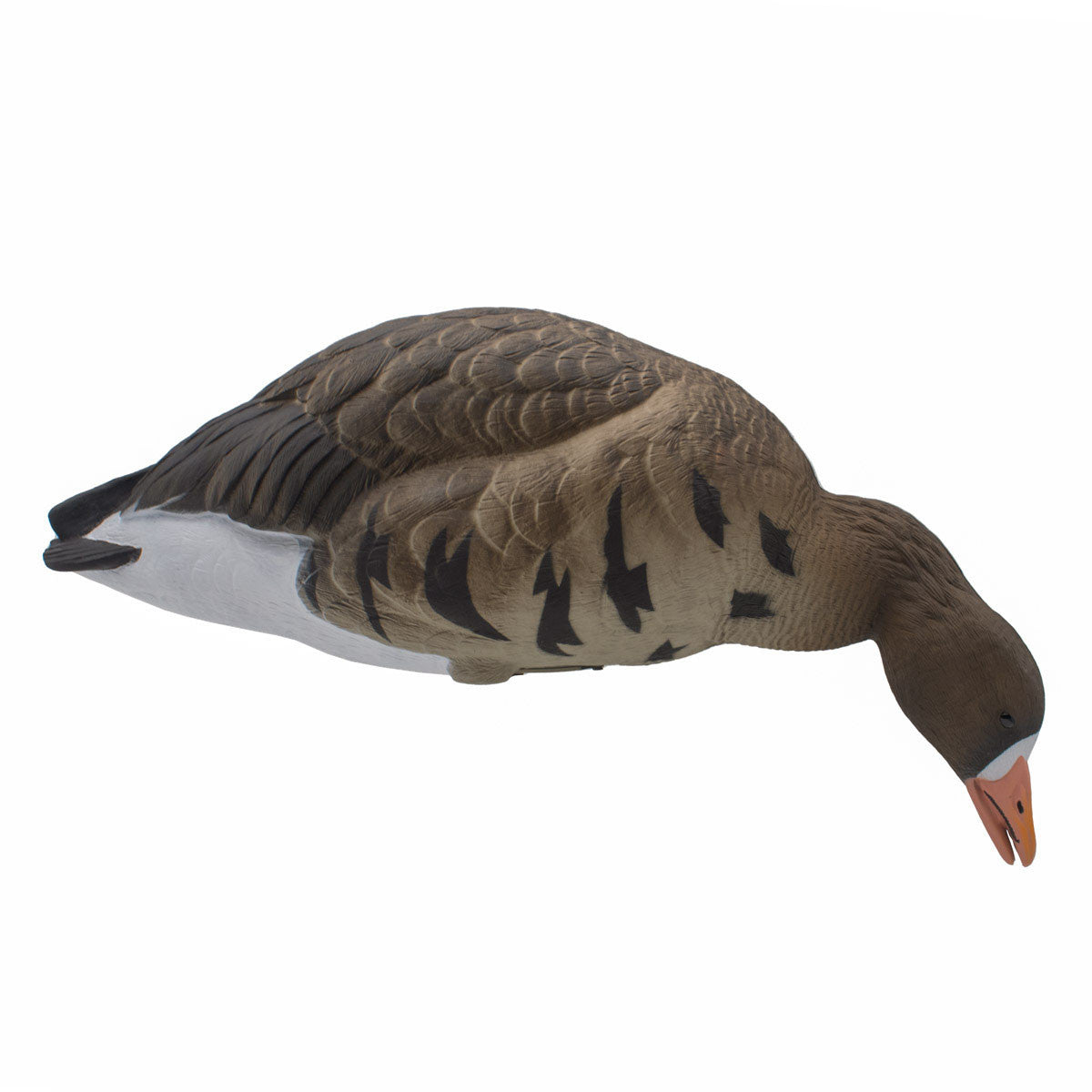Final Approach Live Full-Body Speck Right Side Feeder Decoy Image