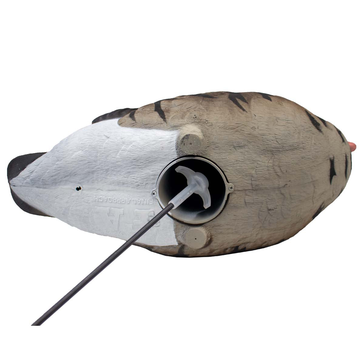 Final Approach Live Full-Body Speck Bottom Upright Decoy Image